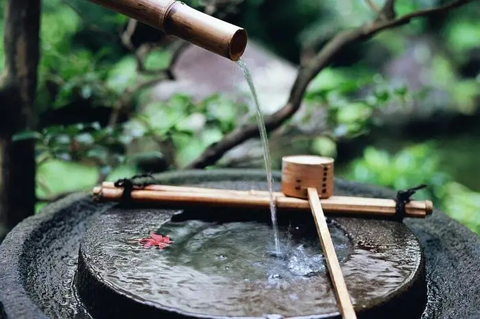 虹景木陽臺-驚鹿，蹲踞